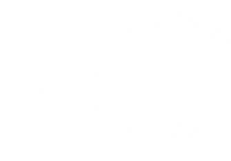 p2-card-bg-shape